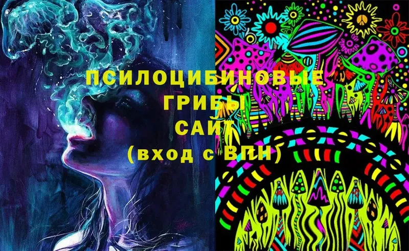 цены   Боровск  Галлюциногенные грибы Psilocybine cubensis 